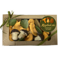 печево "КАЗКОВИЙ ЛІС"