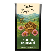 Ехінацея корінь